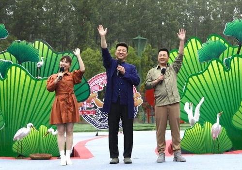 陆河娱乐爆料视频最新,揭秘明星幕后故事，最新视频内容抢先看