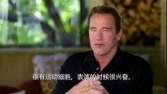 阿诺爆料视频大全最新版,揭秘娱乐圈幕后真相